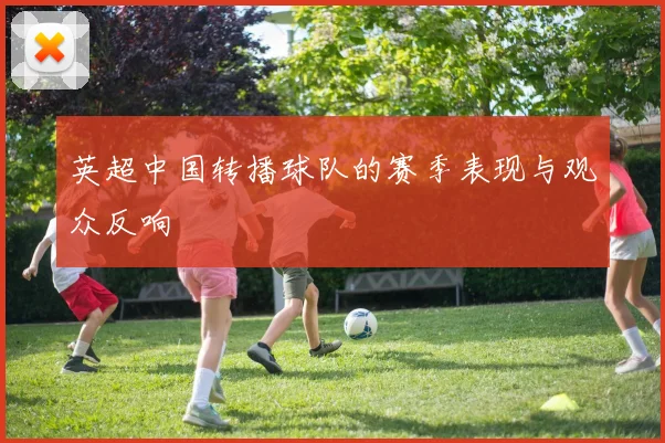 英超中国转播球队的赛季表现与观众反响