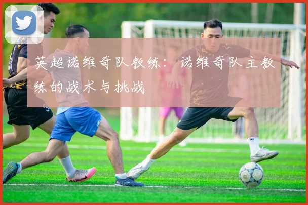 英超诺维奇队教练：诺维奇队主教练的战术与挑战