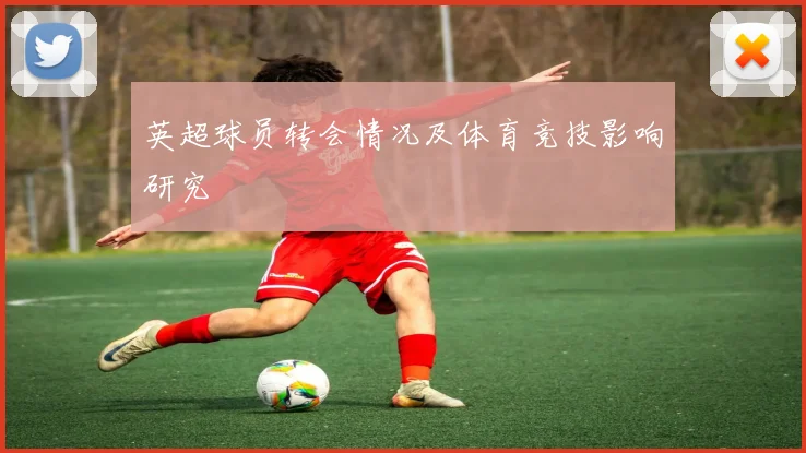 英超球员转会情况及体育竞技影响研究