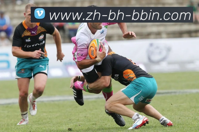 bbin宝盈平台生态图